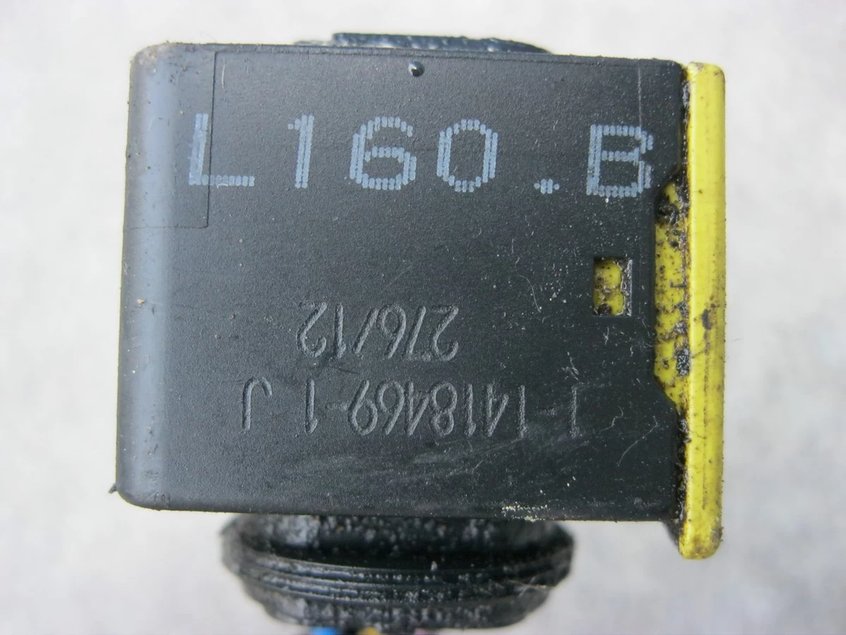 Img 5517