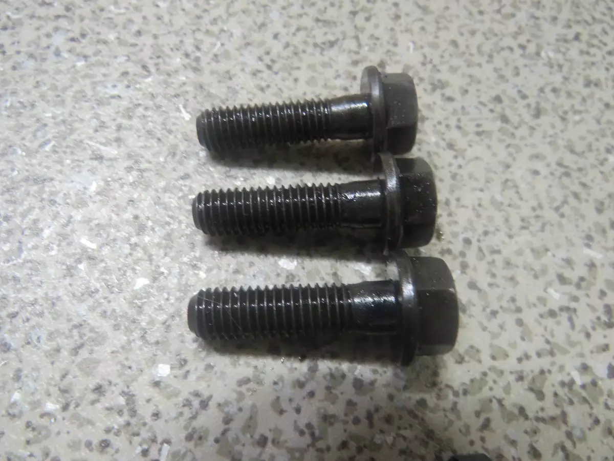 Img 2771 %28%d0%9a%d0%be%d0%bf%d0%b8%d1%80%d0%be%d0%b2%d0%b0%d1%82%d1%8c%29